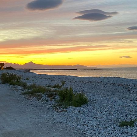 Pepe Villa Denia Dış mekan fotoğraf